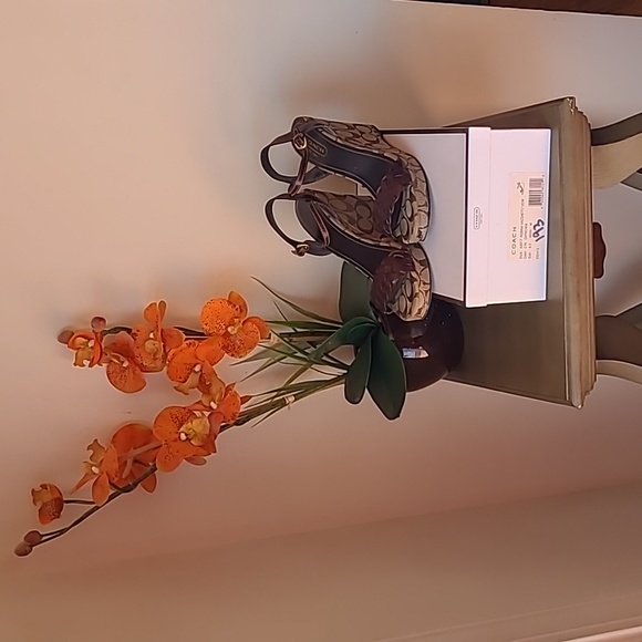 Coach Robina Vacchett Wedge Sandal - Picture 2 of 16